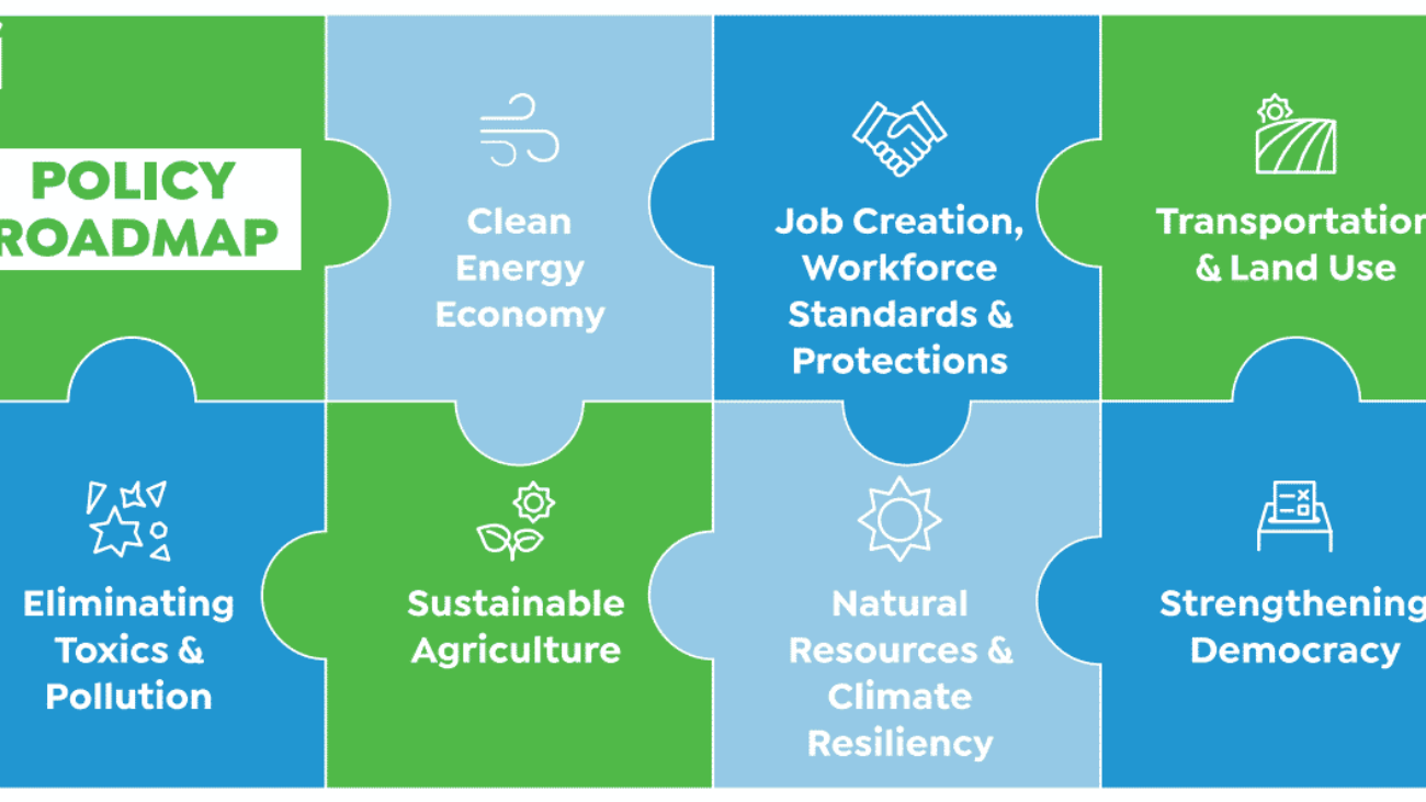 policy roadmap puzzle